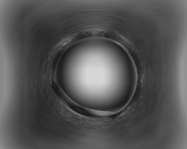 X0000086101014200703301210