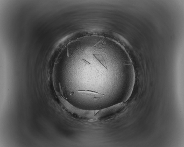 X0000086101016200703301210