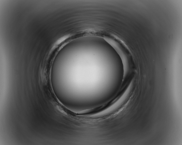 X0000086101018200703301210