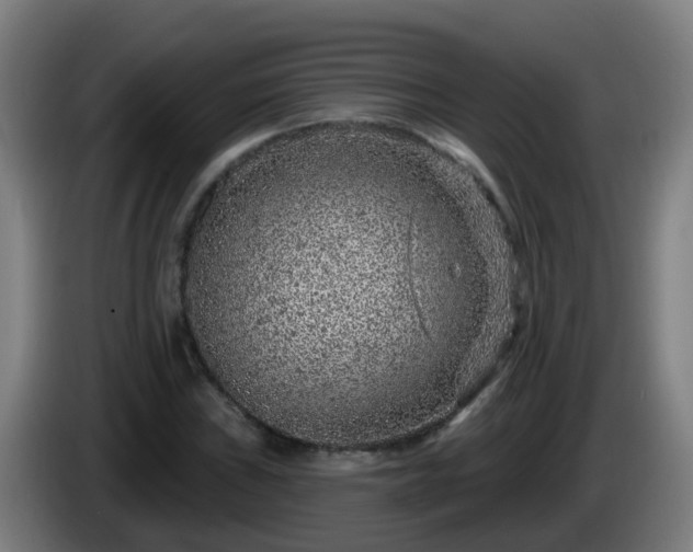 X0000086101019200703301210