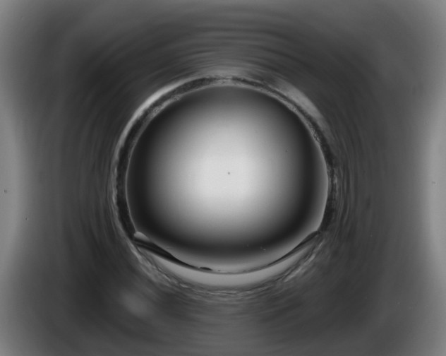 X0000086101020200703301210