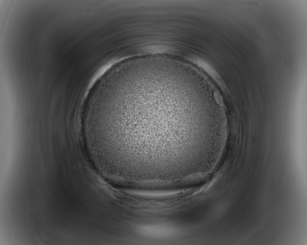 X0000086101023200703301210