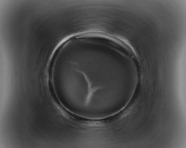 X0000086101024200703301210