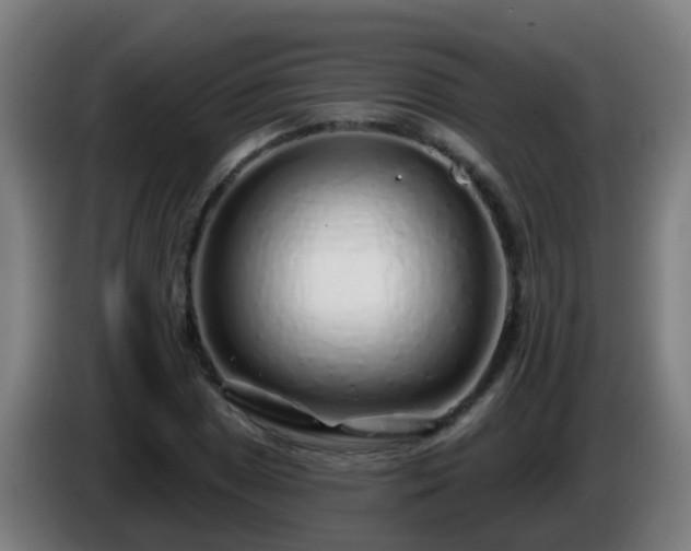X0000086101025200703301210