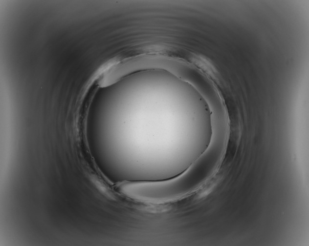 X0000086101026200703301210
