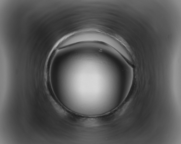 X0000086101028200703301210