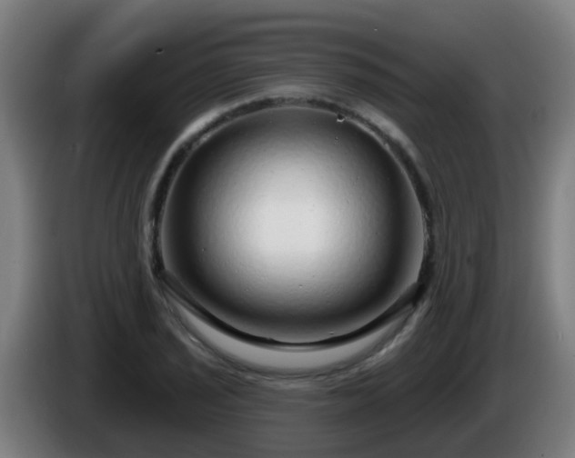 X0000086101029200703301210