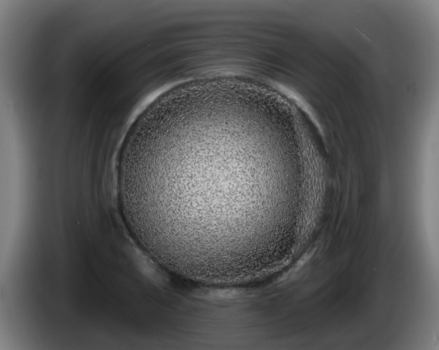 X0000086101031200703301210