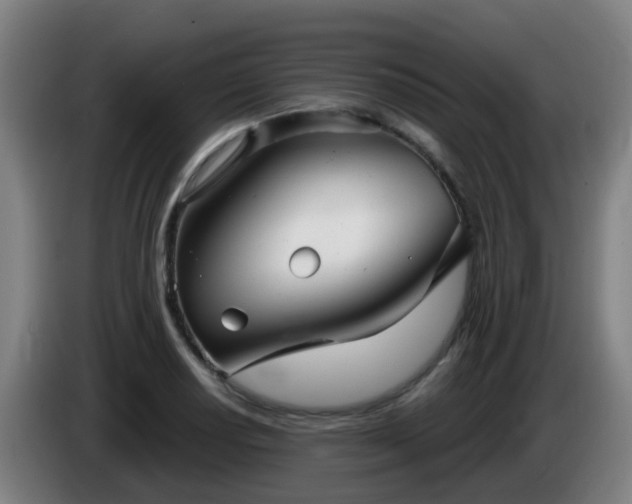 X0000086101034200703301210