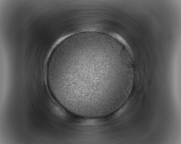 X0000086101035200703301210