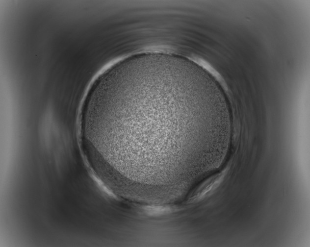 X0000086101037200703301210