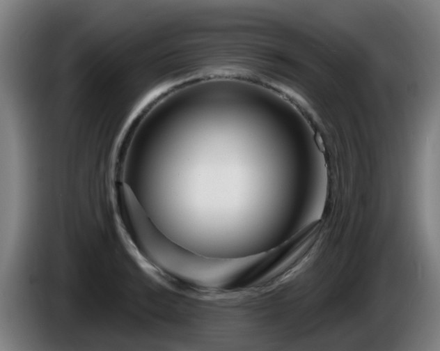 X0000086101038200703301210