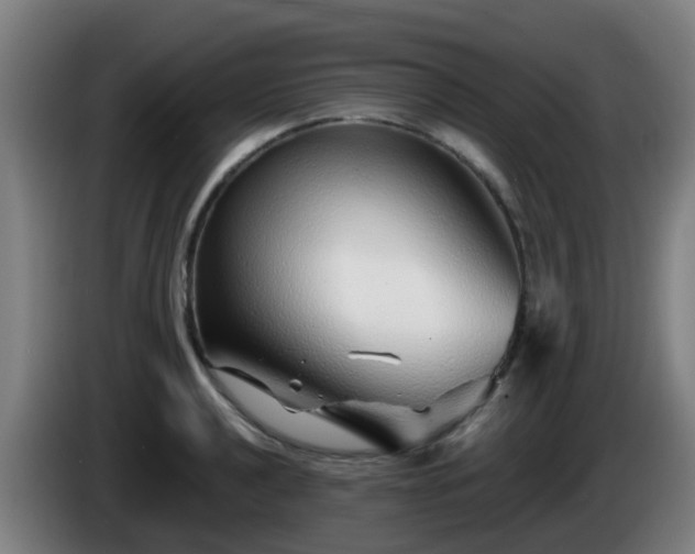 X0000086101040200703301210