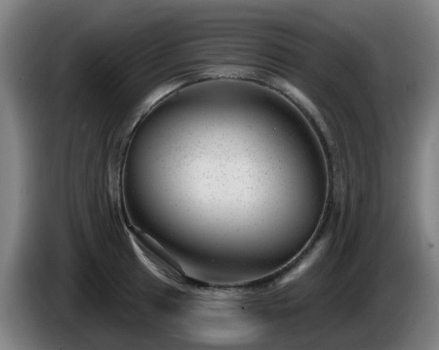 X0000086101041200703301210