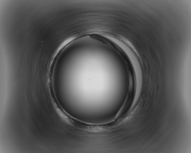 X0000086101042200703301210