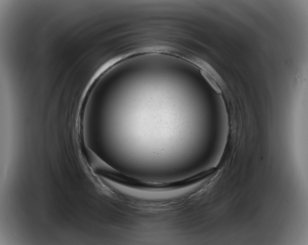 X0000086101044200703301210