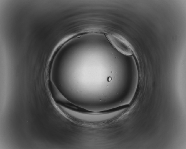 X0000086101045200703301210