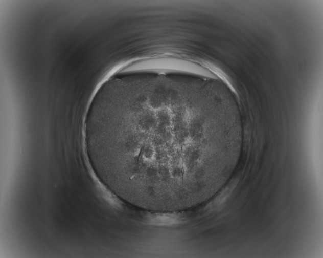 X0000086101047200703301210