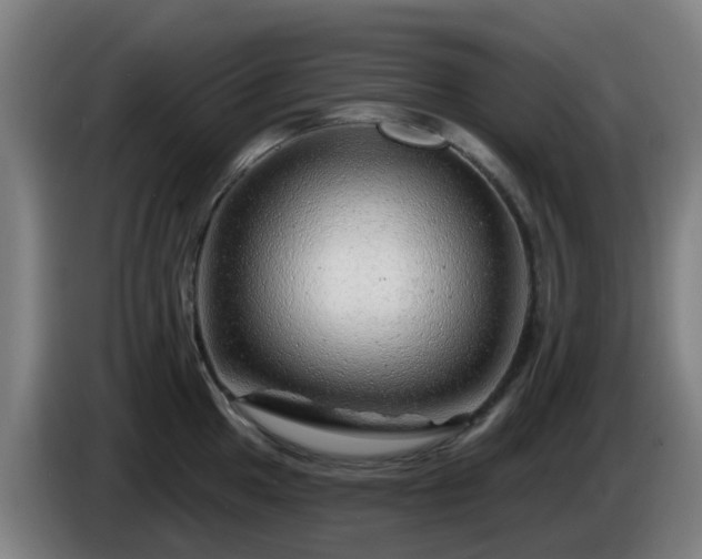 X0000086101049200703301210