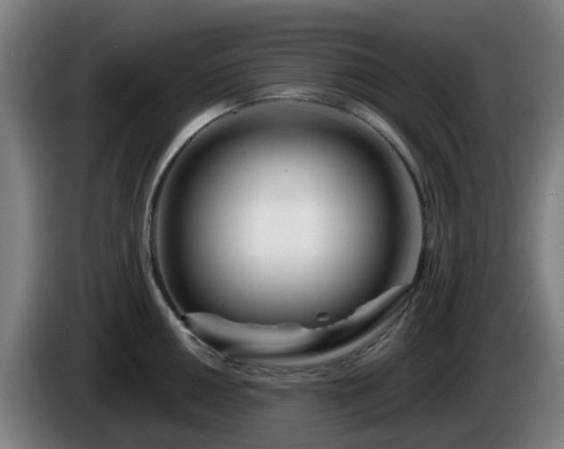 X0000086101050200703301210