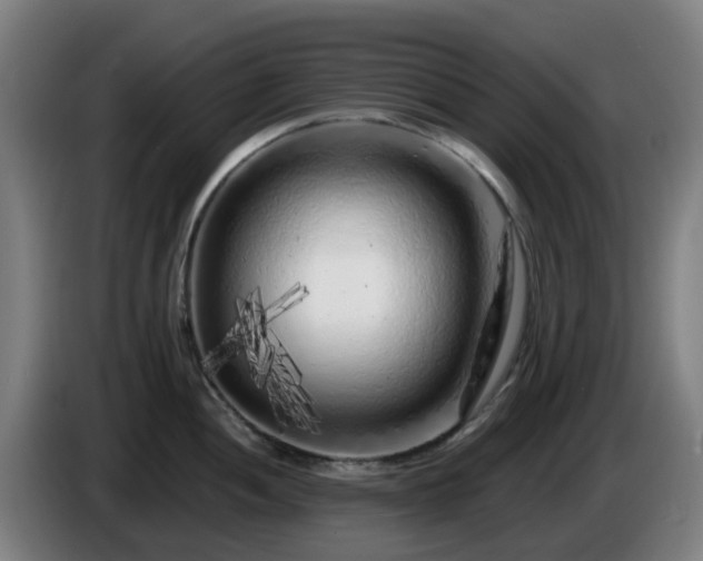 X0000086101052200703301210