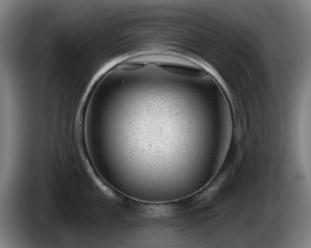 X0000086101053200703301210