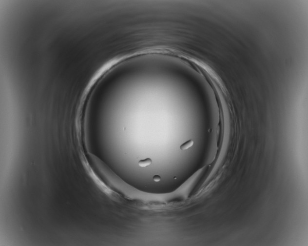 X0000086101054200703301210