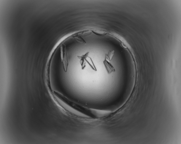 X0000086101056200703301210