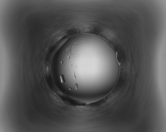 X0000086101058200703301210
