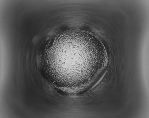 X0000086101059200703301210