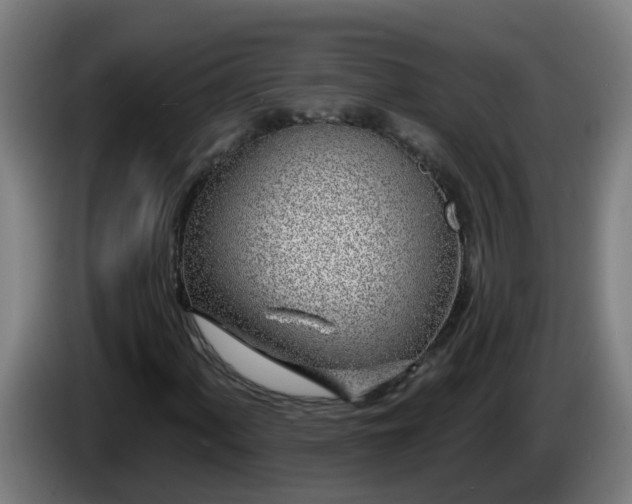 X0000086101060200703301210