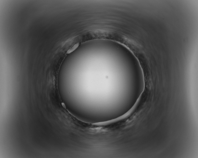 X0000086101061200703301210