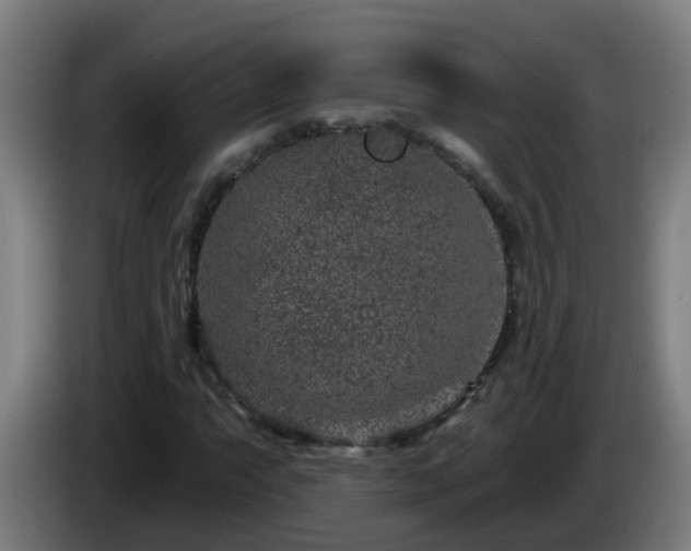 X0000086101063200703301210