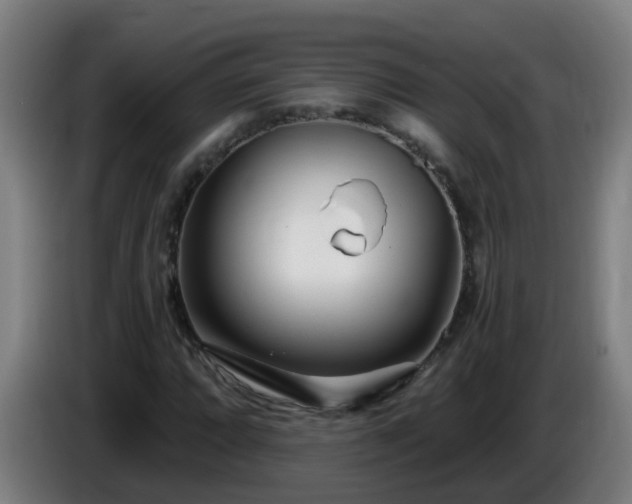 X0000086101064200703301210