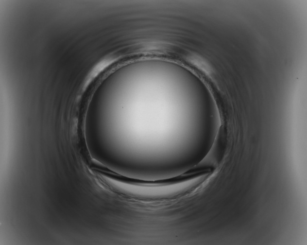 X0000086101066200703301210