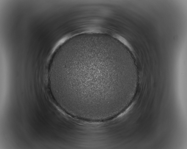 X0000086101067200703301210