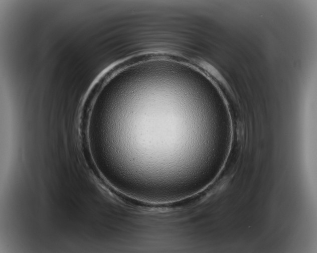 X0000086101068200703301210