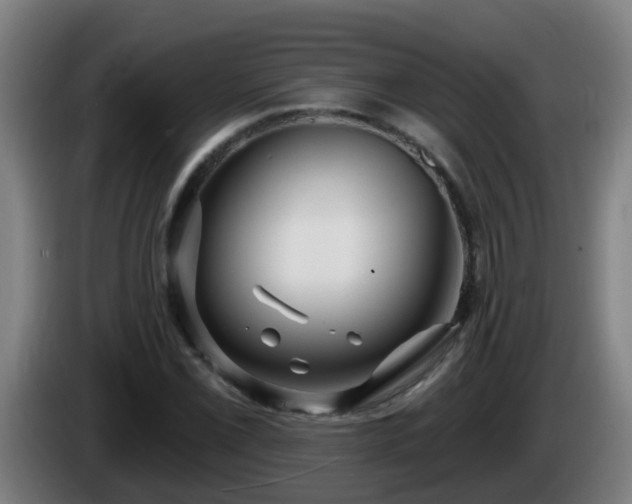 X0000086101069200703301210