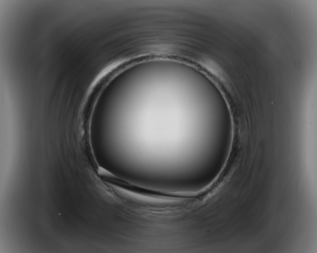 X0000086101070200703301210