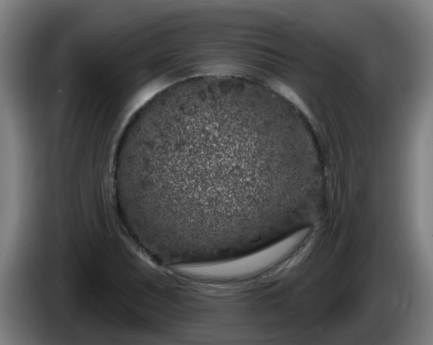 X0000086101071200703301210