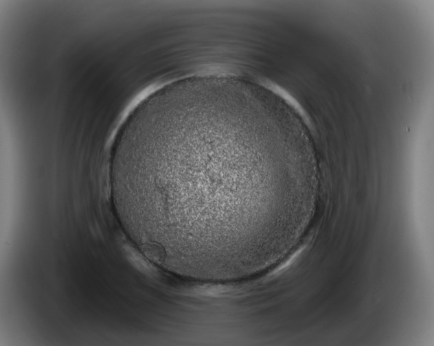 X0000086101075200703301209