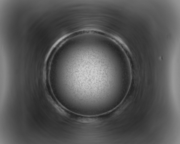 X0000086101076200703301209