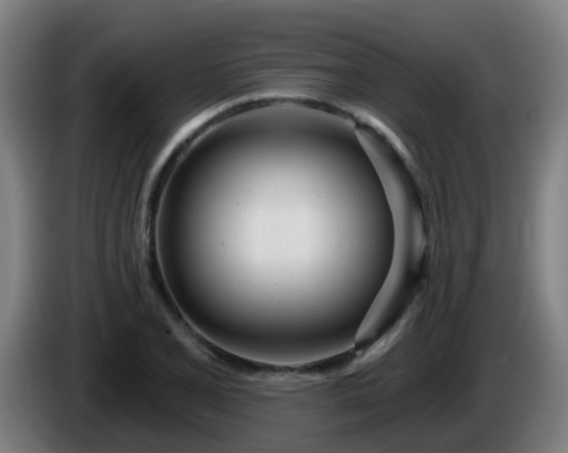 X0000086101077200703301209