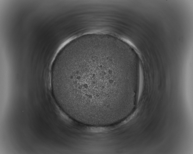 X0000086101079200703301209