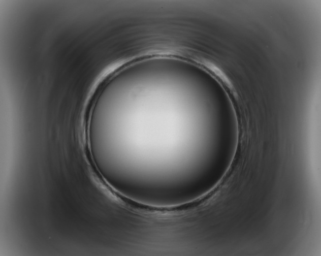 X0000086101080200703301209