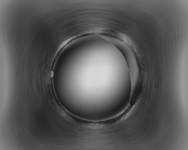 X0000086101081200703301209