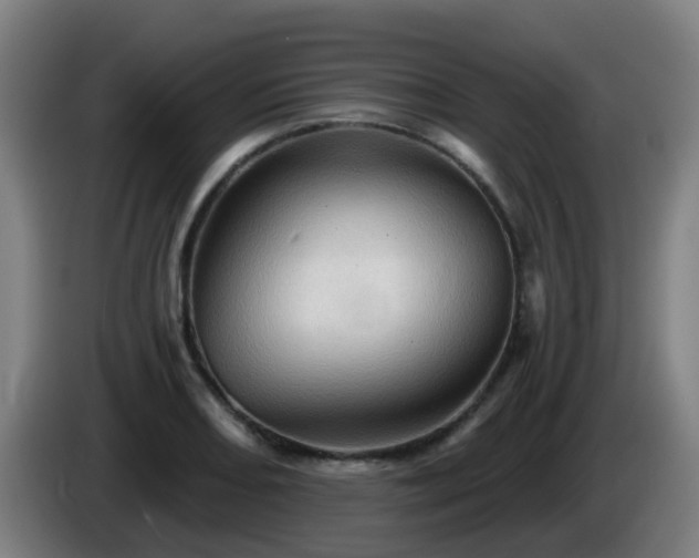 X0000086101082200703301209