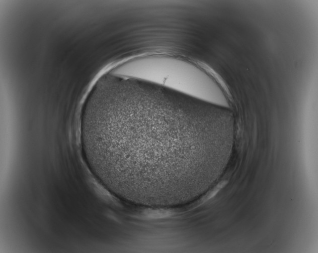 X0000086101083200703301209
