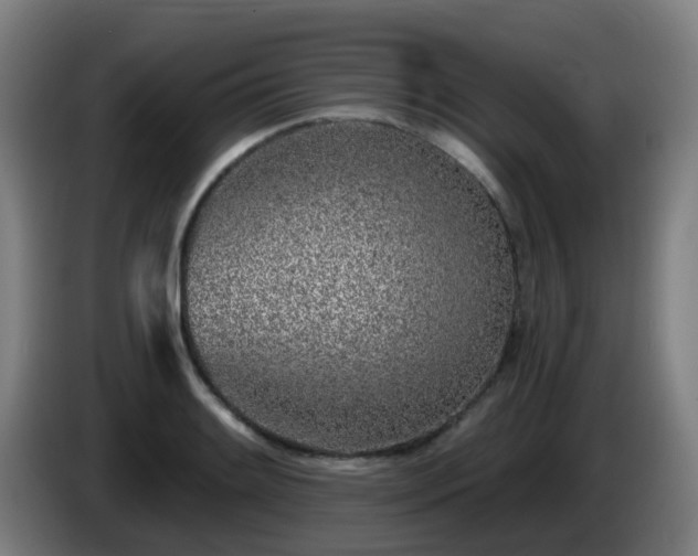 X0000086101084200703301209