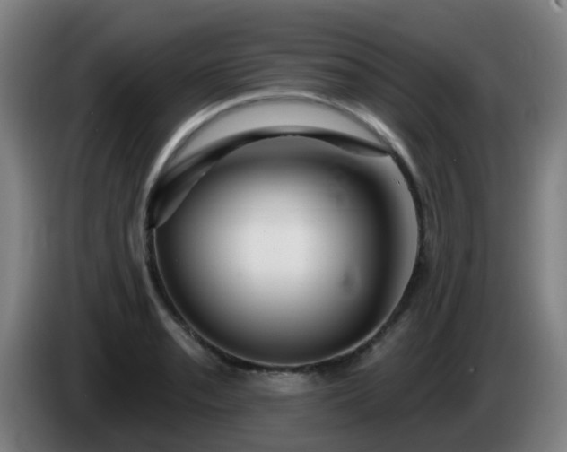 X0000086101085200703301209